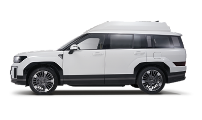 싼타페 하이리무진