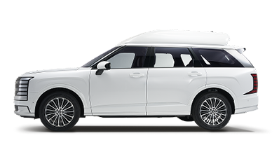 팰리세이드 하이리무진