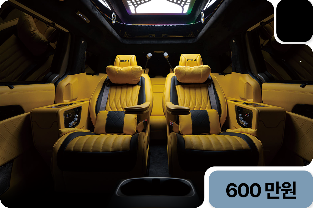 CN카니발 하이리무진