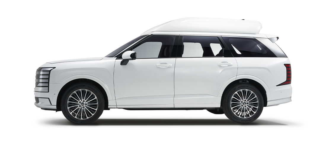 팰리세이드 하이리무진